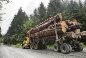 overweight truck