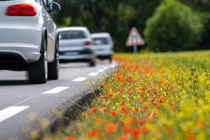 Car driving in the springtime