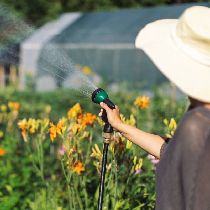 Roundup class action lawsuit - image of woman spraying weed killer in garden